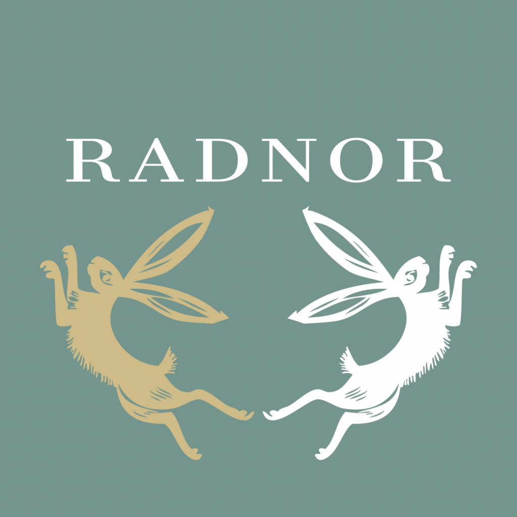 Radnor Oak logo, freelance digital marketing and SEO work by The Digi Dragon to improve visibility and search performance.