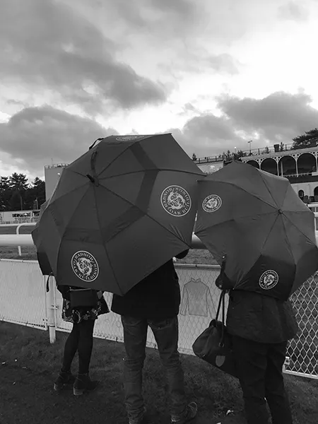 Black and white image showing branded umbrellas as part of a marketing campaign.