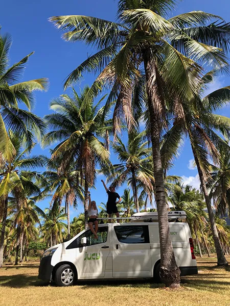 Freelance digital marketing nomads on a camper van in North Queensland, surrounded by coconut trees.